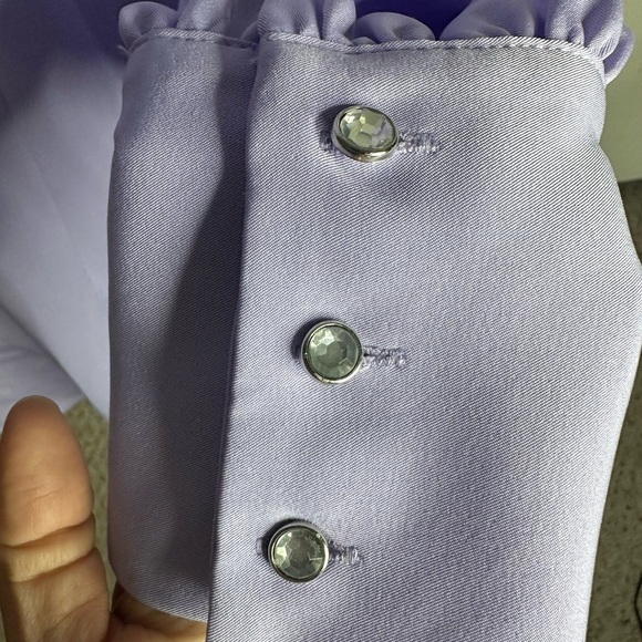 Boston Proper Crystal Embellished Collar Victoria Chic Drama Sleeve Shirt XL - Picture 7 of 13